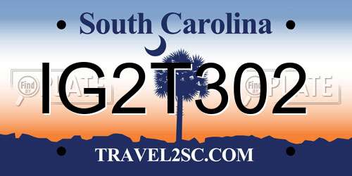IG2T302 South Carolina License Plate