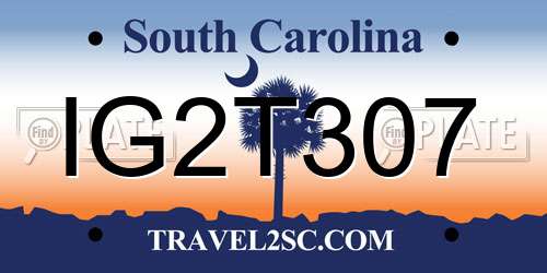 IG2T307 South Carolina License Plate