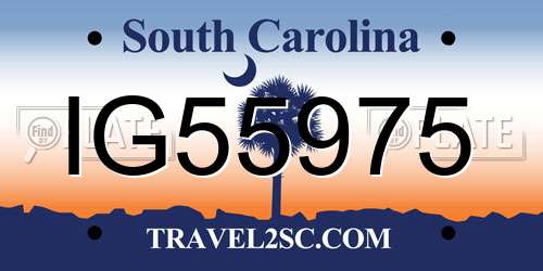 IG55975 South Carolina License Plate