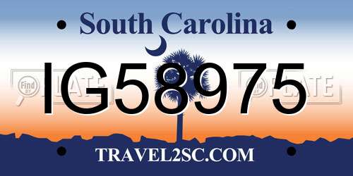 IG58975 South Carolina License Plate