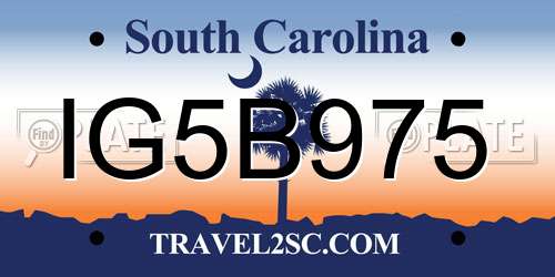 IG5B975 South Carolina License Plate