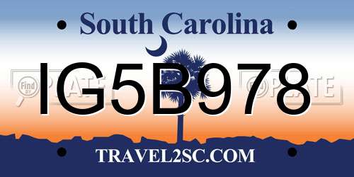 IG5B978 South Carolina License Plate