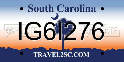 IG6I276 South Carolina License Plate