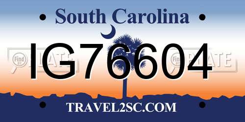 IG76604 South Carolina License Plate