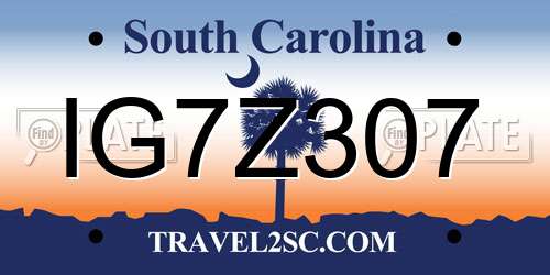 IG7Z307 South Carolina License Plate