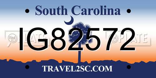 IG82572 South Carolina License Plate