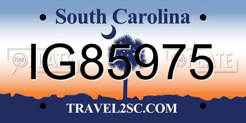 IG85975 South Carolina License Plate