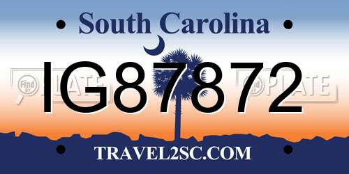 IG87872 South Carolina License Plate