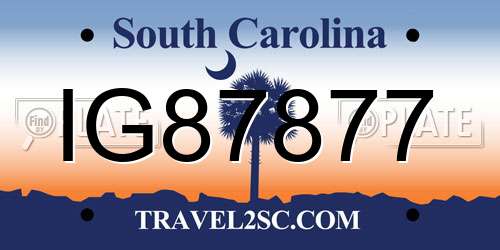 IG87877 South Carolina License Plate