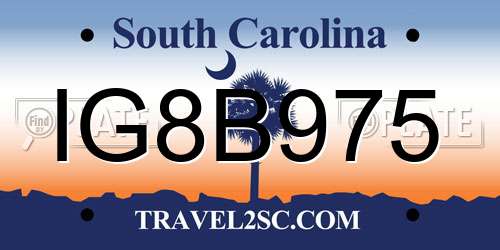 IG8B975 South Carolina License Plate