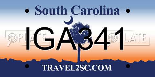 IGA341 South Carolina License Plate