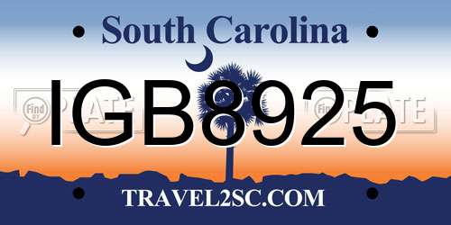 IGB8925 South Carolina License Plate