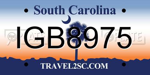 IGB8975 South Carolina License Plate