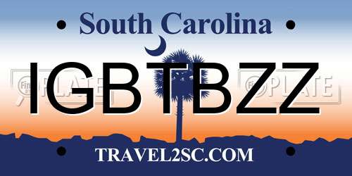 IGBTBZZ South Carolina License Plate