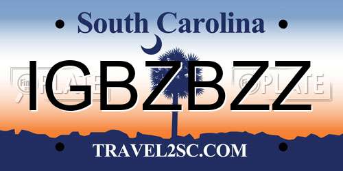 IGBZBZZ South Carolina License Plate