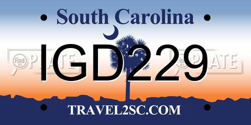 IGD229 South Carolina License Plate