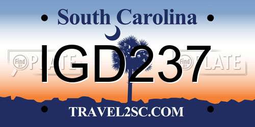 IGD237 South Carolina License Plate