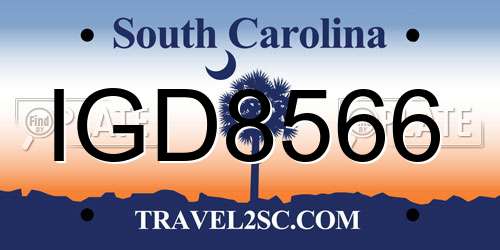 IGD8566 South Carolina License Plate
