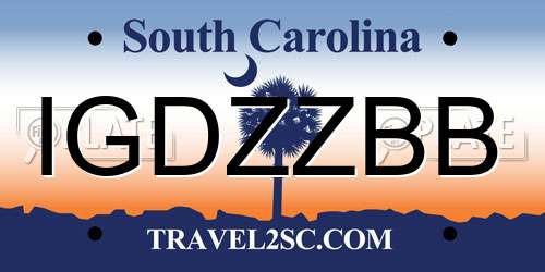 IGDZZBB South Carolina License Plate