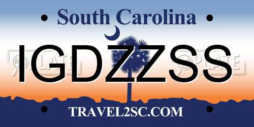 IGDZZSS South Carolina License Plate