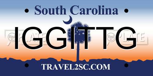 IGGITTG South Carolina License Plate