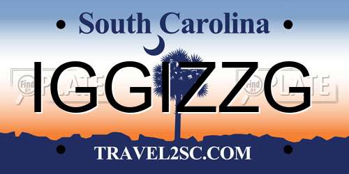 IGGIZZG South Carolina License Plate