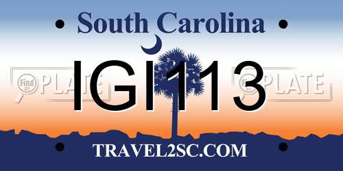 IGI113 South Carolina License Plate