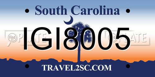 IGI8005 South Carolina License Plate