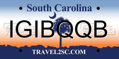 IGIBQQB South Carolina License Plate