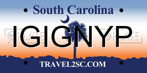 IGIGNYP South Carolina License Plate