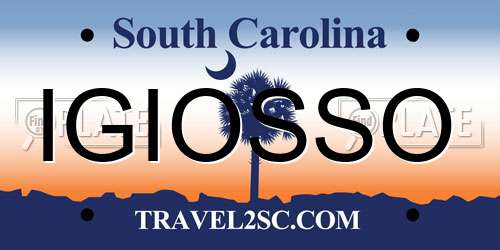 IGIOSSO South Carolina License Plate