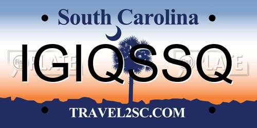 IGIQSSQ South Carolina License Plate