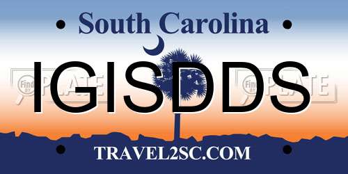 IGISDDS South Carolina License Plate