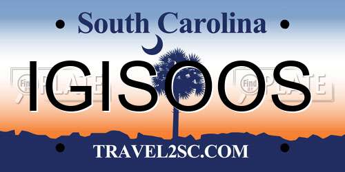 IGISOOS South Carolina License Plate