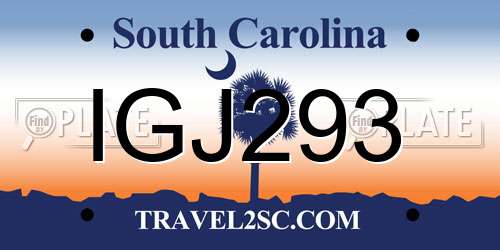 IGJ293 South Carolina License Plate