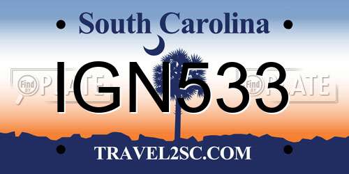 IGN533 South Carolina License Plate