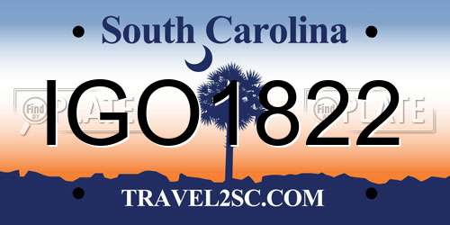 IGO1822 South Carolina License Plate