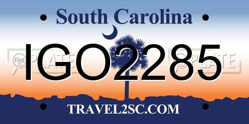 IGO2285 South Carolina License Plate