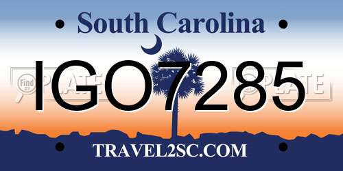 IGO7285 South Carolina License Plate