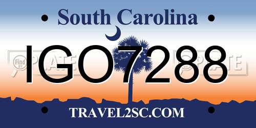 IGO7288 South Carolina License Plate