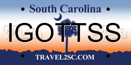 IGOTTSS South Carolina License Plate
