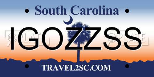 IGOZZSS South Carolina License Plate