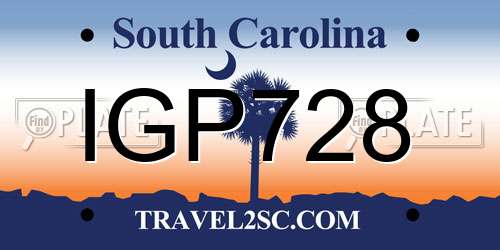 IGP728 South Carolina License Plate