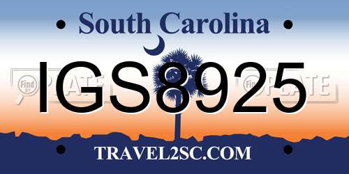 IGS8925 South Carolina License Plate