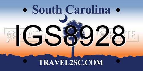 IGS8928 South Carolina License Plate