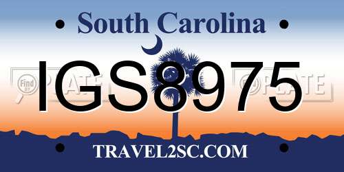 IGS8975 South Carolina License Plate
