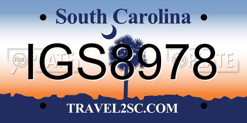 IGS8978 South Carolina License Plate