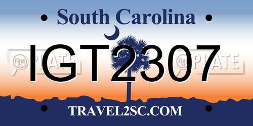 IGT2307 South Carolina License Plate