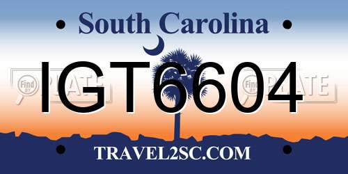 IGT6604 South Carolina License Plate