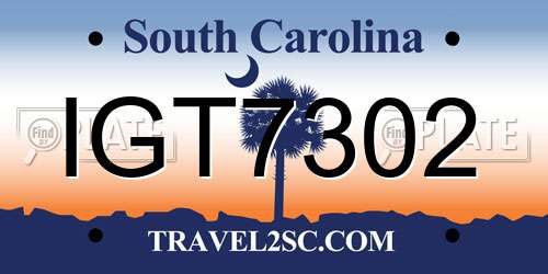 IGT7302 South Carolina License Plate